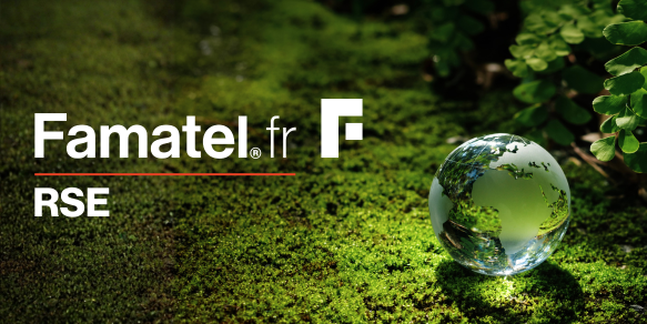 RSE Famatel France